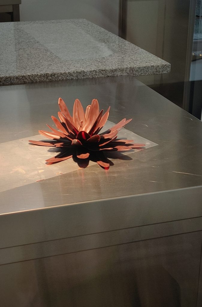 erster schokoladenblütentest aus purer leckerer schokolade