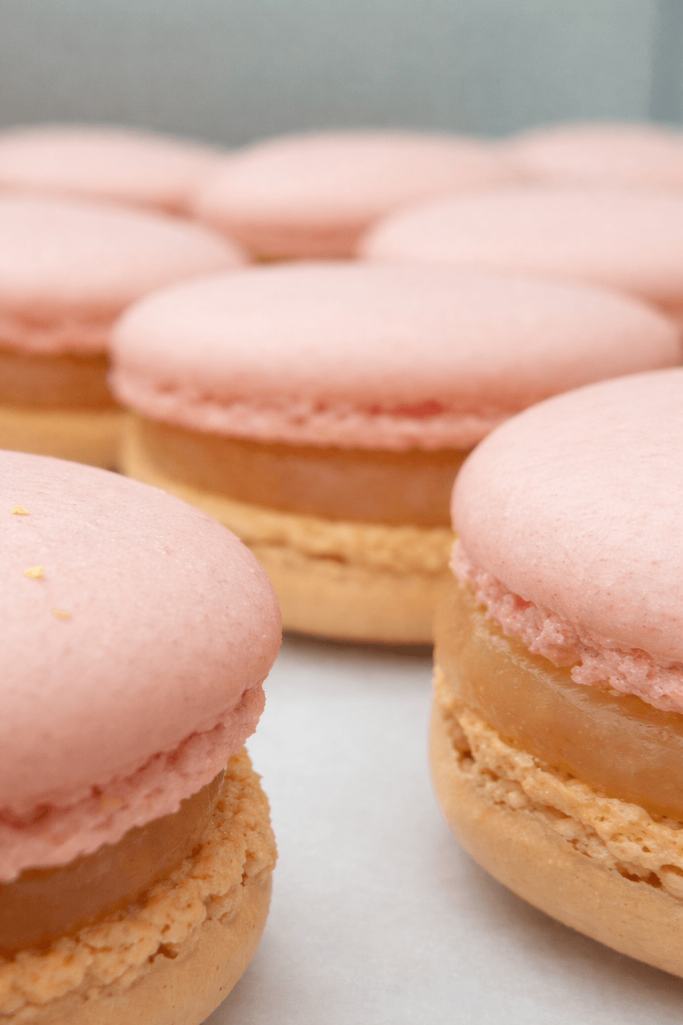 Handgemachte Grapefruit-Macarons mit fruchtiger Grapefruitfüllung – von eve choclatière Tübingen